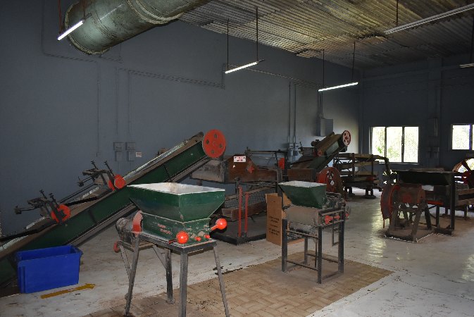 062_Tea Factory