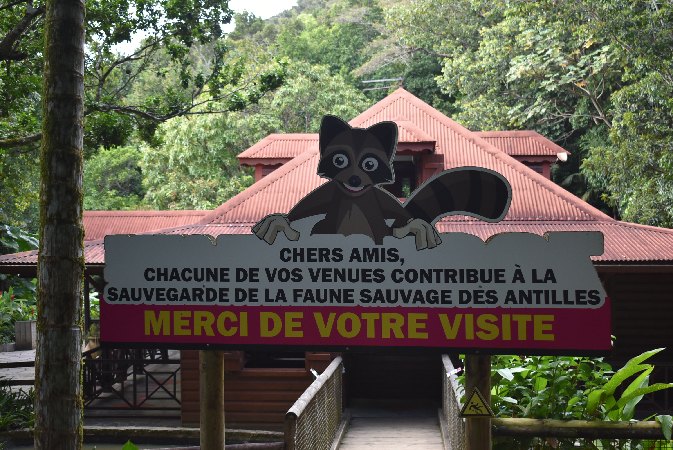 184.Guad_Zoo de Guadeloupe