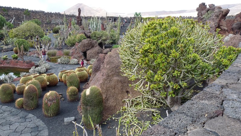 034.Guatiza-Jardín de Cactus