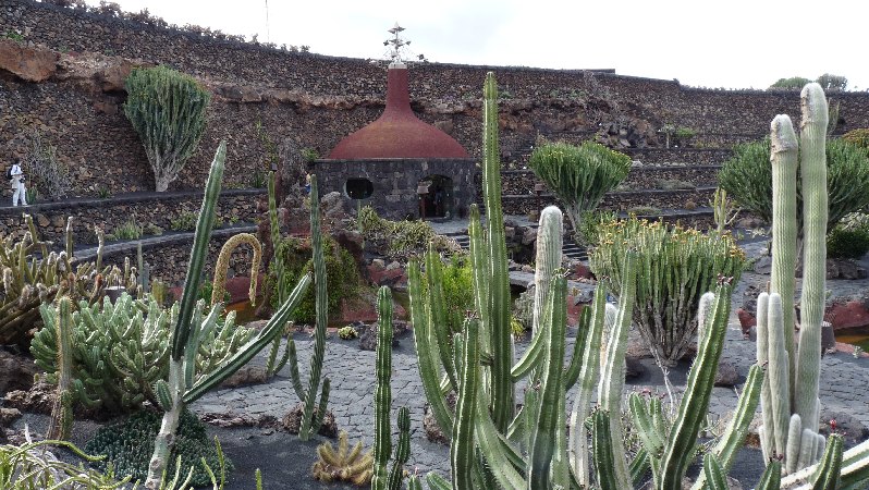 035.Guatiza-Jardín de Cactus