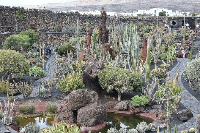 036.Guatiza-Jardín de Cactus