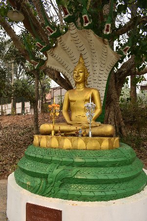 164_LuaPrab_Golden Buddha