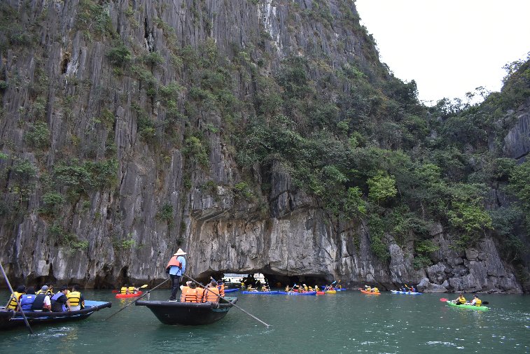 089__Vie_HaLong-Hang Luon Cav
