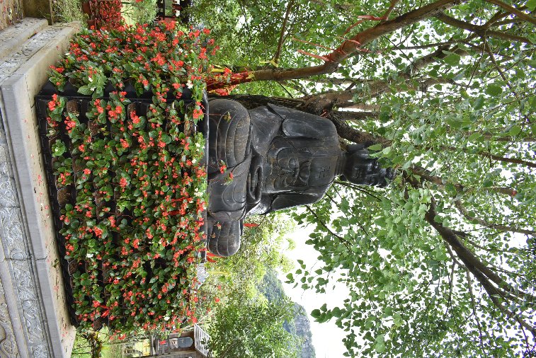 185__Vie_NinhBinh-Bai Ding pagoda-he Bodhi Tree of Wishe