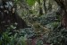 037_Le Niol-Mare aux Cochons Trail