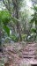040_Le Niol-Mare aux Cochons Trail