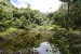047_Mare aux Cochons