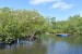 070_Port Glaud-Mangrove
