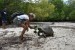 120_Curieuse-Turtle Pond