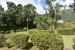 092.Furnas-Jardim de Courela