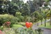 109.Mart_Jardin de Balata