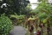 112.Mart_Jardin de Balata