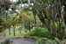 114.Mart_Jardin de Balata
