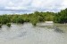 134.Mart_Grande Anse des Salines-Mangrove