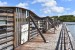 136.Mart_Grande Anse des Salines-Observatoire Ornithologique