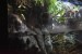 173.Guad_Le Gosier-Aquarium de la Guadeloupe
