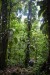 179.Guad_Maison de la Foret
