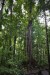 181.Guad_Maison de la Foret