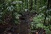 182.Guad_Maison de la Foret