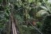 188.Guad_Zoo de Guadeloupe