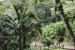 189.Guad_Zoo de Guadeloupe