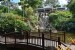 237.Guad_Jardin botanique de Deshaies