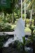 238.Guad_Jardin botanique de Deshaies