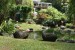 241.Guad_Jardin botanique de Deshaies