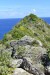 251.Guad_Pointe de La Grande Vigie