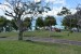 282.Guad_Le Gosier-Parc Paysager du Calvaire