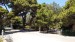086.Mdina_Howard Gardens