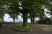 051_It-Ber_Parco Del Castello Di San Vigilio
