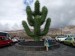 037.Guatiza-Jardín de Cactus