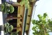 203_Vie_DaNang-Lady Buddha-Chua Linh Ung