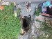 302_Vie_DaNang-MarbleMount-Am Phu Cave