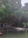 142__Vie_NinhBinh-Trang An Boat Tou