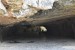 175__Vie_NinhBinh-Mua cav