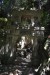 320__Vie_DaNang-MarbleMount-Huyen Khong Cav