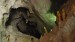 138_LuaPrab_Pak Ou Cave