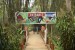 196_LuaPrab_Butterfly Park