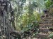203_LuaPrab_Tad Thong Waterfall_Trek