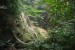 205_LuaPrab_Tad Thong Waterfall