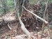 206_LuaPrab_Tad Thong Waterfall_Trek