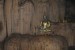 236_VaVie_Tham Loup Cave