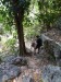 239_VaVie_Tham Loup Cave
