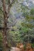 243_VaVie_Tham Jang Cave