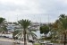 031_Palma