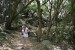 008_Anse Major Trail